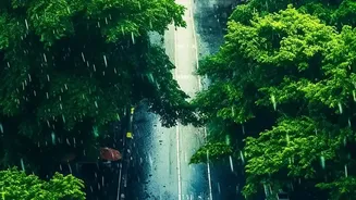 Weak Monsoon Totals Can Hide Dangerous Rainfall Extremes Across India