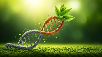 90% Cancer Risk is Lifestyle-Driven: How to Naturally Lower Your Odds