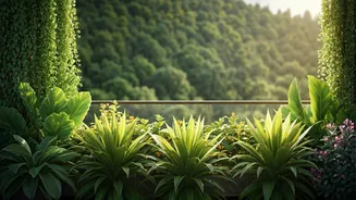 Why Terrace Gardening Revolution Is Essential Step For Green Cities