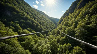 Adventure Lovers Can't Stop Ziplining Here