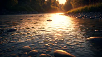 Embrace Life's Flow: Neem Karoli Baba's Wisdom on Surrender and Ego