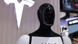 Elon Musk delays Tesla Optimus reveal, cites copycat fears amid global robot race