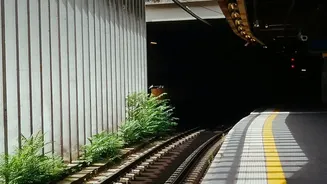 Mumbai Railways Get A Capacity Boost As Eastern And Western Freight Corridors Reach Completion