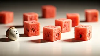 Frozen Watermelon Purees Solve Stressed Dog Behavioral Fatigue Issues