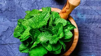 Leftover coriander and mint stems transform into flavourful zero waste cooking oils