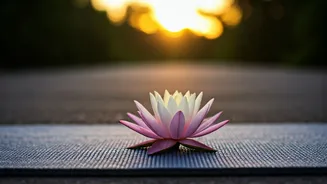 Healthy Ageing Takes Center Stage For Tomorrow's Grand Yoga Festivities