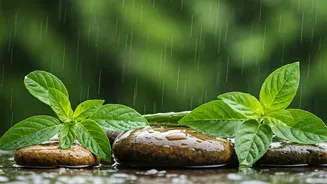 Seasonal Detox Gets A Proper Indian Monsoon Twist