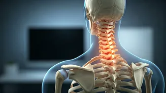 Desk Job Posture Fix: Expert Exercises for Neck, Shoulder & Back Pain Relief