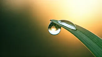 Tune In to Your Inner Voice: 7 Morning Affirmations for Self-Trust and Clarity