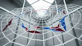 Spider-Man's Record India Start Shows the Power of a Nationwide Release
