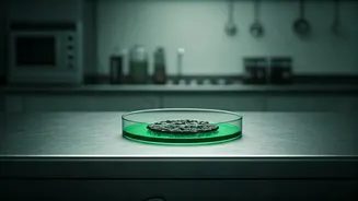 Summer Food Safety: Tragic Death Highlights Dangers of Unhygienic Eating & How to Stay Safe