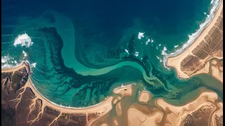 Why NASA Planetary Health Dashboards Prioritise Tracking Major Coastal Estuary Bloom Spikes