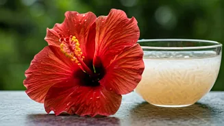 Get More Flowers On Hibiscus Plants Using Rice Water