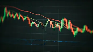 Trading Spotlight: Key Stocks to Watch on Oct 28