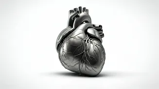 Confronting 4 Silent Killers: Protecting Your Heart & Brain