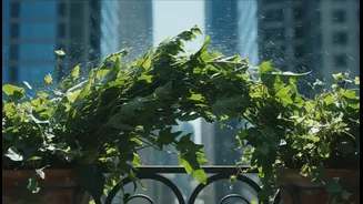 Wind Tunnels Between Towers Can Surprise Even Experienced Gardeners