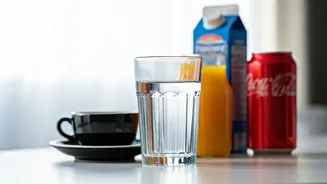 Hydration Hack: Water vs. Other Drinks - What's Best for Your Body?