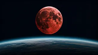 Related Stories banner