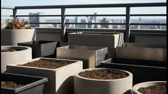 High-Rise Gardening Starts with Structure, Not Styling