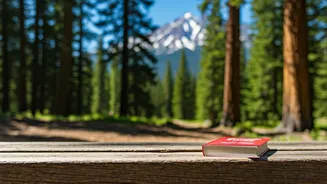 Unlock Adventure: 5 Essential Tips for Epic Family National Park Visits with Kids