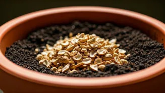Drop Crushed Peanut Shells Into Planters To Boost Soil Quality