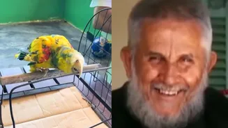 Papagaio de Frei Damião continua vivo após 90 anos e atrai fiéis do Brasil