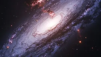 Hubble's Andromeda Star-Formation Study: Fresh Clues About a Quieter Phase in a Nearby Galaxy