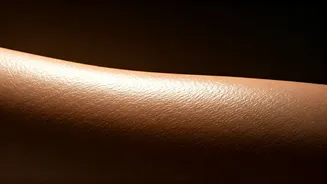 Unveiling Angelina Jolie's 50s Skincare: Simple Secrets to Glowing Skin