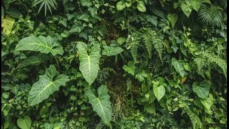 A Plant Wall Can Add Weight, Moisture and Maintenance Pressure