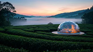 Misty Tea Estates In Munnar Host Viral Romantic Glamping Domes