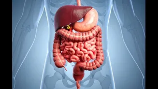 Why Your Gut Loves A Morning Routine: Gastroenterologist Explains The Hidden Power Of Your Body Clock