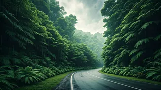 Bengaluru Weekend Trips Need Rainy-Season Sense