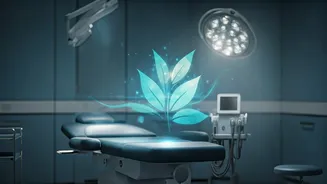 Related Stories banner