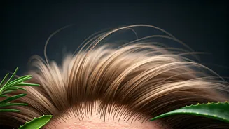 Reclaim Your Hair: Natural Solutions for Alopecia Areata Bald Spots in Women