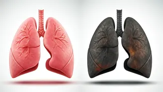 Air Pollution & Lungs: A Health Perspective