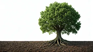 8 Traits of a Mentally Strong Person: Build Resilience