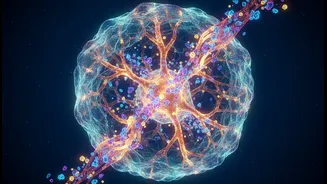 Why Amino Acid Absorption Is Becoming a Key Nutrition Conversation