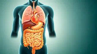 Daily Besan Cheela Breakfast: Unlocking Your Body's Potential