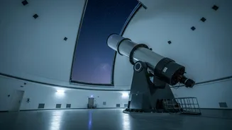 How Automated Near Earth Object Surveys Provide Deep Insights Into Close Approaching Asteroid Trajectories