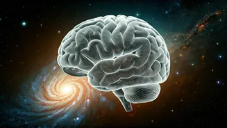 Mind-Blowing Science Facts: Unveiling the Wonders of Our World and Human Body