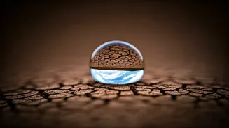 Decoding Dehydration: Signs Your Body is Crying for Water