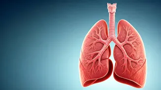 Try Pranayama For Diwali Relief In 10 Minutes