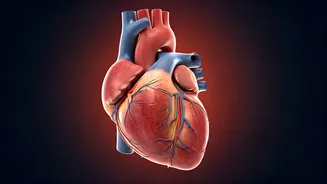 Related Stories banner