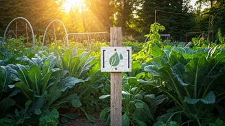 Communities Are Leading The Green Learning Movement