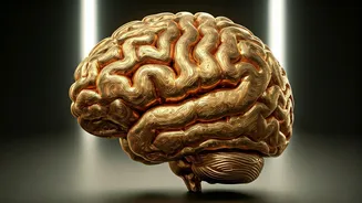 Unveiling Alzheimer's: Unique Symptoms and Management