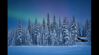 Finland Tops World Happiness Index Again; Here’s Where India, China, Pakistan Rank