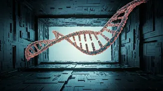 DNA Impacts Our Lives In Surprising Ways.