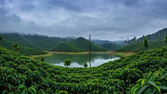 Discover Peaceful Monsoon Retreats Near Bengaluru