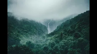 India's Majestic Waterfalls: A Guide to the Tallest and Most Scenic