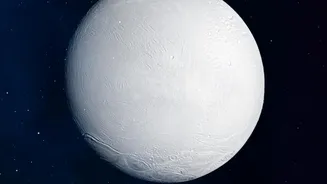 Scientists Spot Possible Wetting Patterns on Pluto's Nitrogen Ice